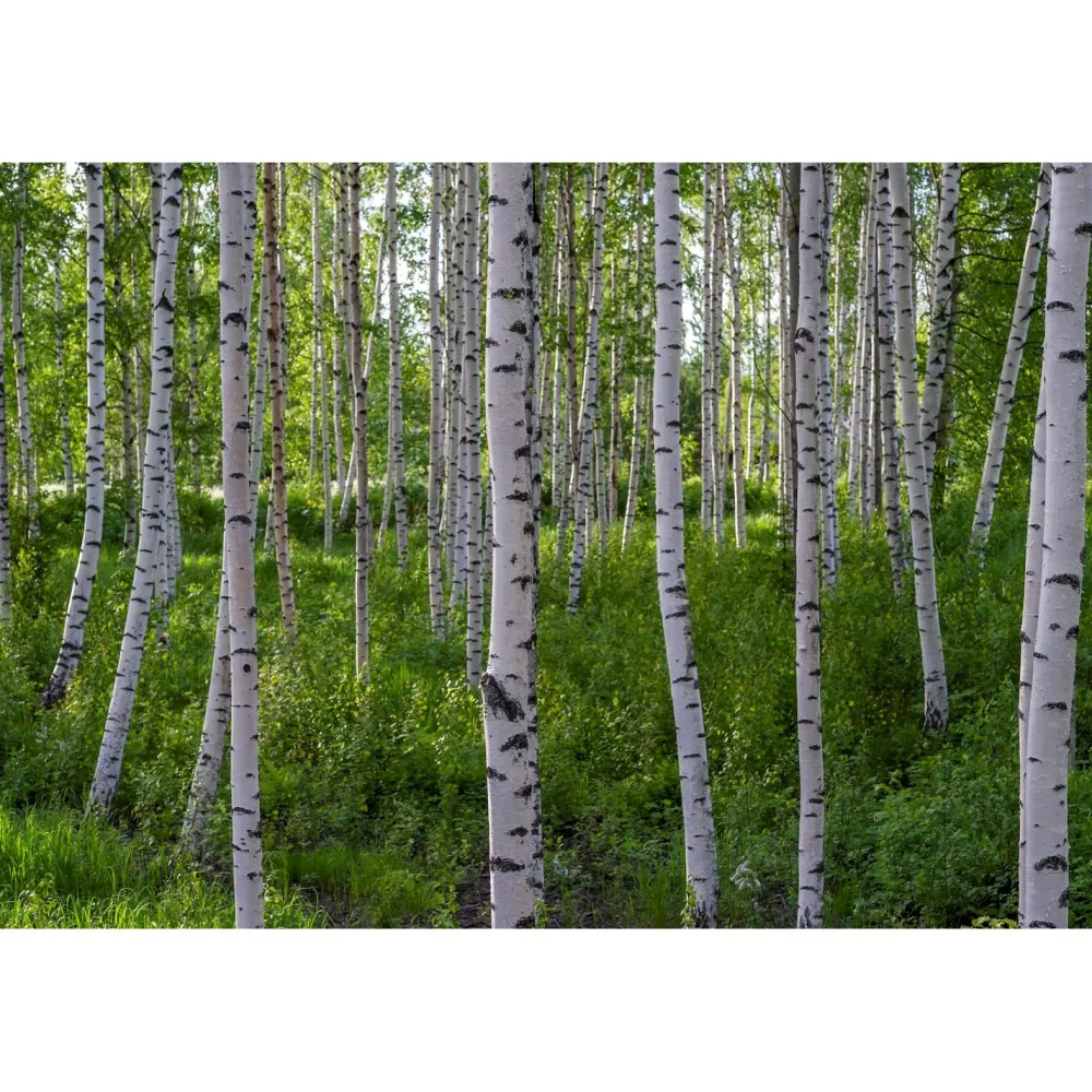 Discount Akustiikkataulu Quiet 240x160 cm kollaasi 6 kpl 80x80 cm eri kuvia (myös omalla kuvalla) Akustiikkataulut