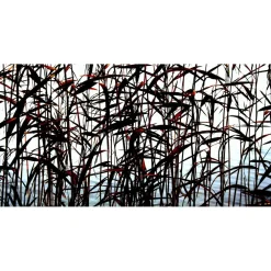 Online Akustiikkataulu Quiet 120x60 cm kollaasi 2 kpl 60x60 cm eri kuvia (myös omalla kuvalla) Akustiikkataulut