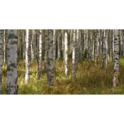 Online Akustiikkataulu Quiet 120x60 cm kollaasi 2 kpl 60x60 cm eri kuvia (myös omalla kuvalla) Akustiikkataulut
