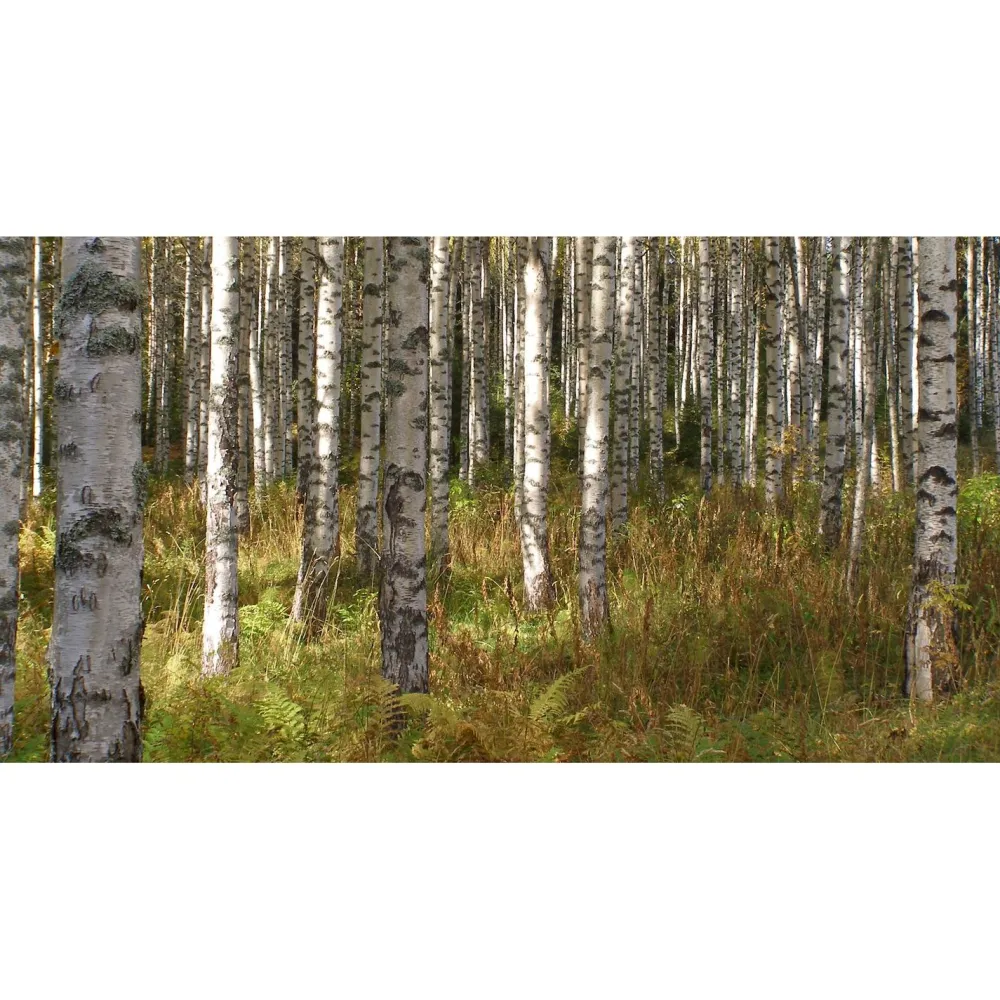 Online Akustiikkataulu Quiet 120x60 cm kollaasi 2 kpl 60x60 cm eri kuvia (myös omalla kuvalla) Akustiikkataulut