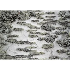 Akustiikkataulu Still T 60x40 cm valkoiset puukehykset eri kuvia (myös omalla kuvalla)*Yeseco Discount