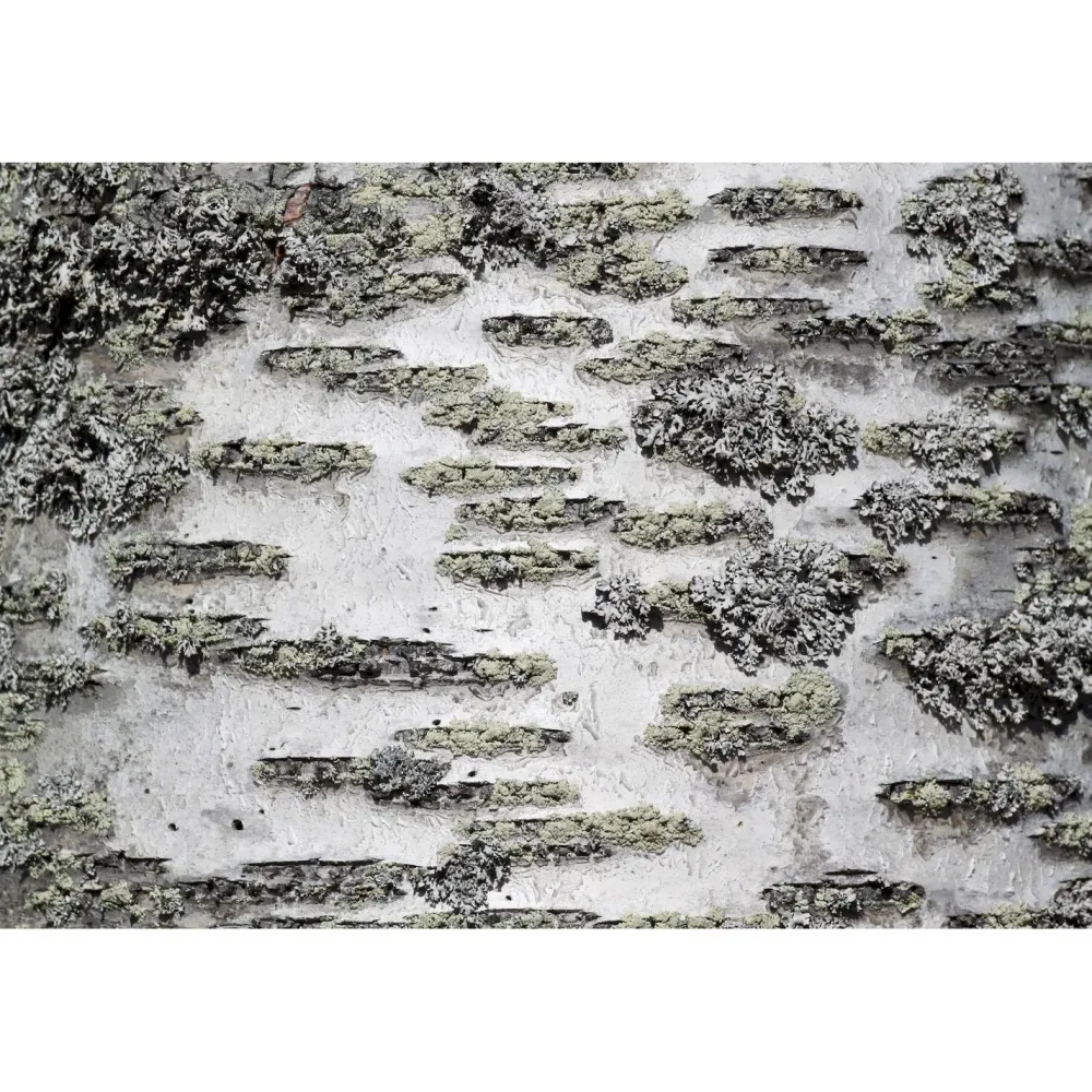 Akustiikkataulu Still T 60x40 cm valkoiset puukehykset eri kuvia (myös omalla kuvalla)*Yeseco Discount