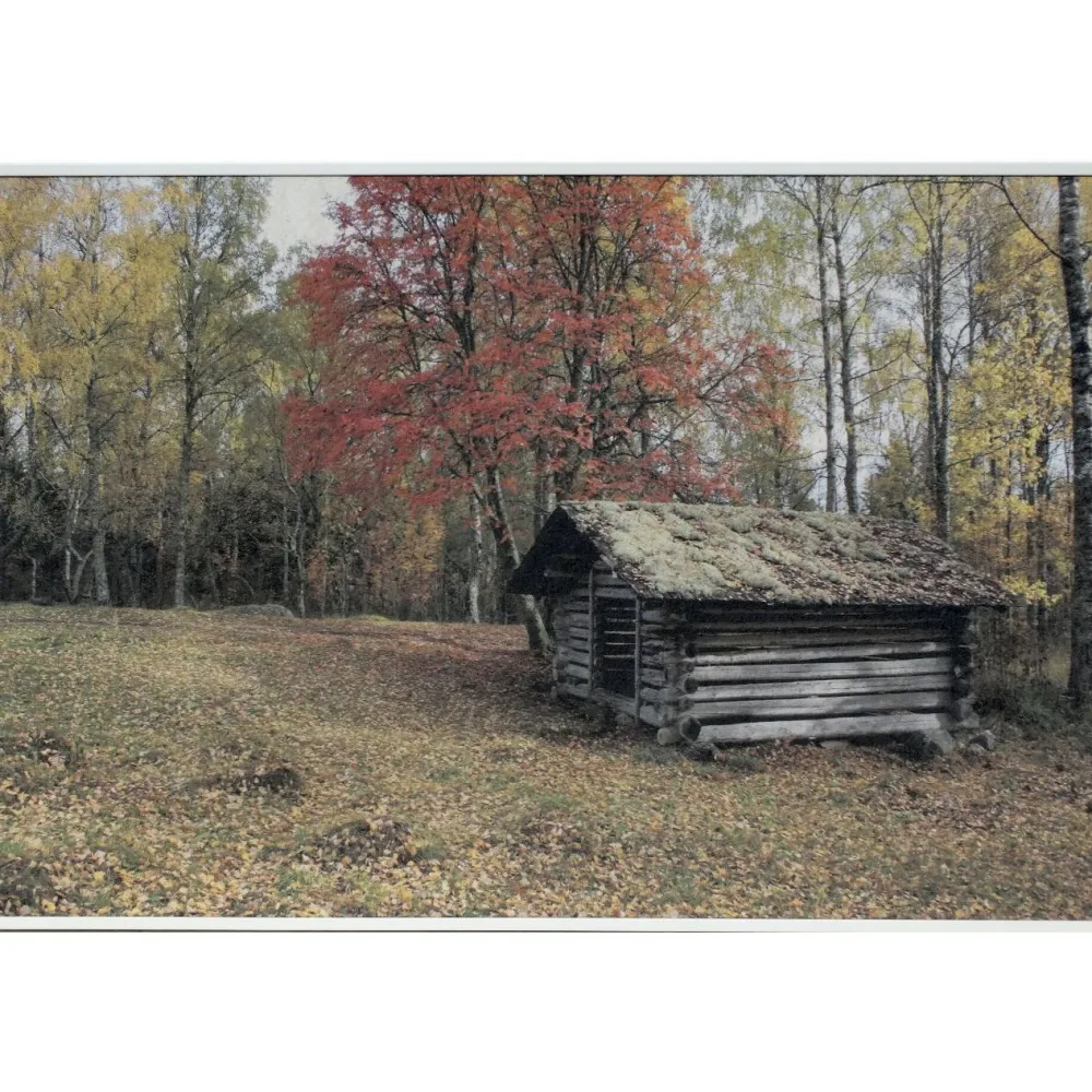 Akustiikkataulu Still T 60x40 cm valkoiset puukehykset eri kuvia (myös omalla kuvalla)*Yeseco Discount