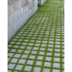Hulevesikivi Grass 115x115x80mm harmaa*Betonilaatta New