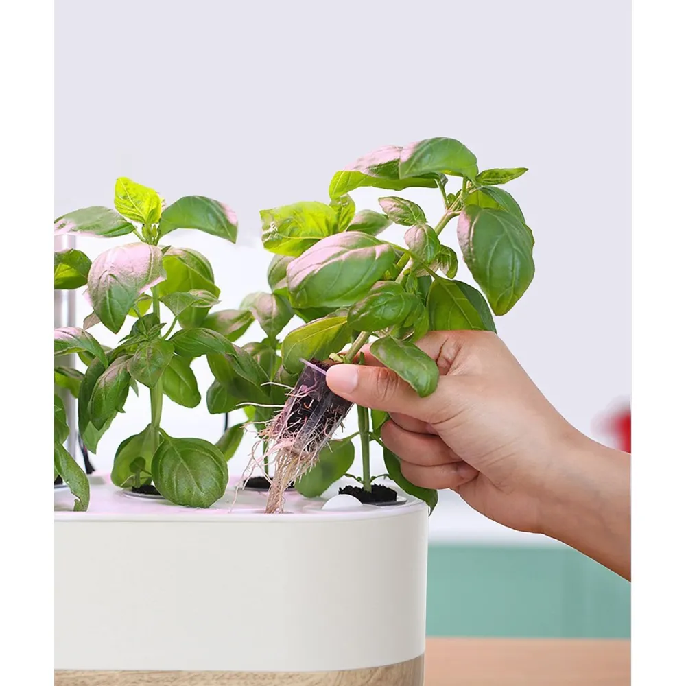 Best Hydroponinen vesiviljelyjärjestelmä Urban Growing P10 Istutuslaatikot