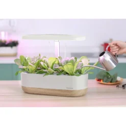 Best Hydroponinen vesiviljelyjärjestelmä Urban Growing P10 Istutuslaatikot