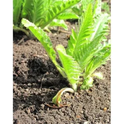 Online Istutusmulta eri kokoja Maa-Ainekset