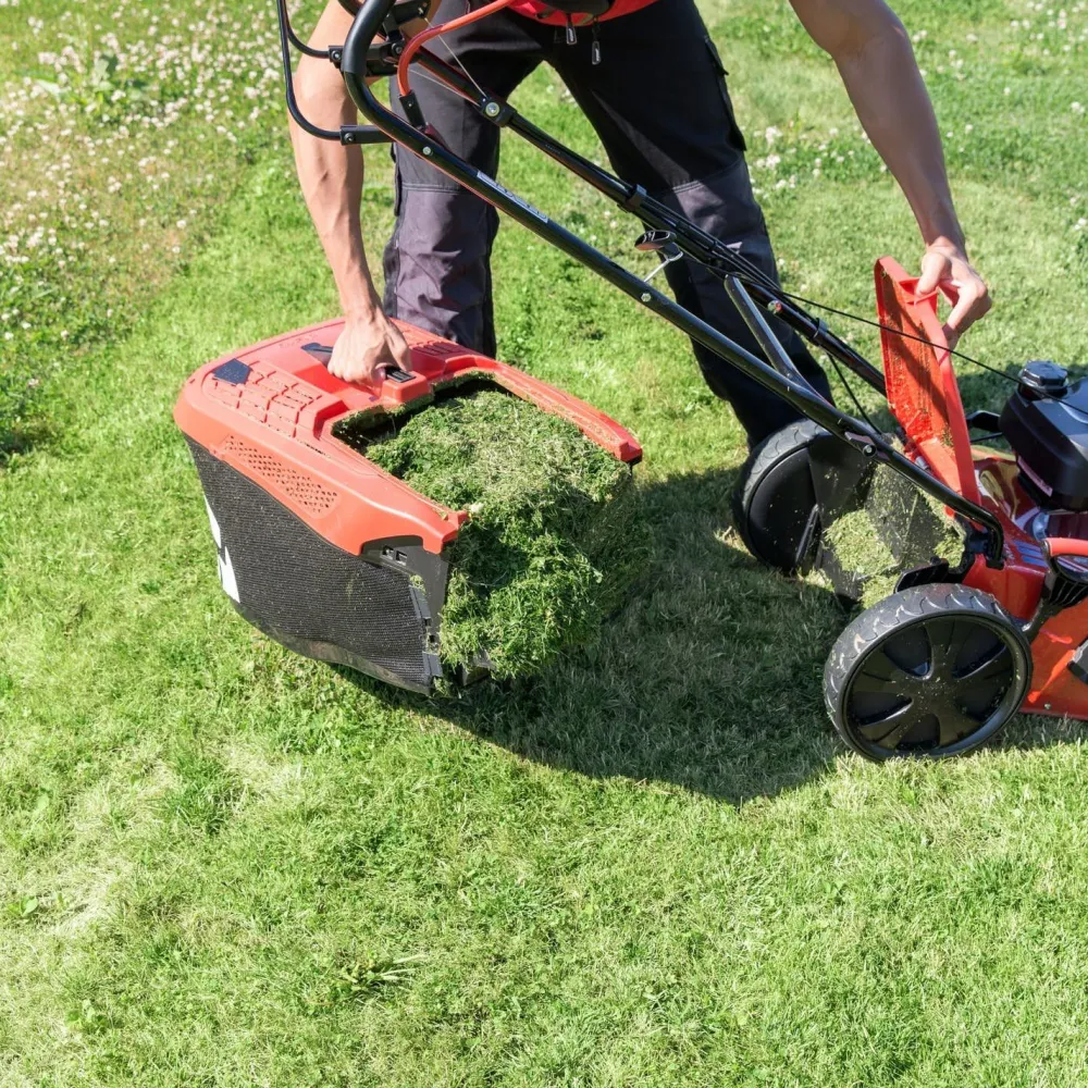 Outlet Itsevetävä ruohonleikkuri 5231 SP-H Comfort Pro Honda GCVx170 Keräävät Ruohonleikkurit|Itsevetävät Ruohonleikkurit