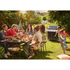 Kaasugrilli Weber Genesis E-425W, 4 poltinta, musta*Weber Grill