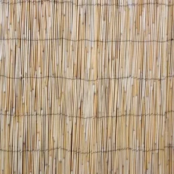 Kaislasermi IN GARDEN 500x100 cm, beige*Home4you Best