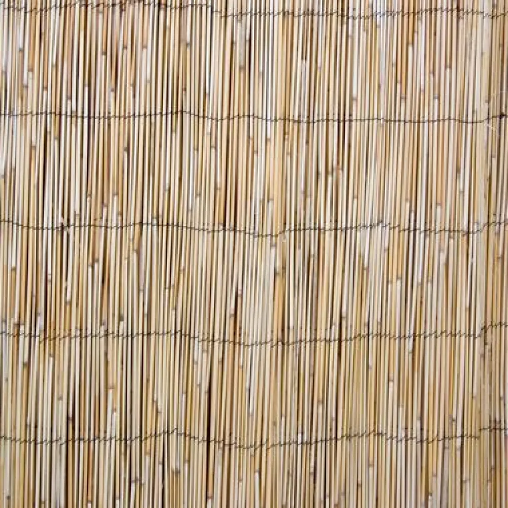 Kaislasermi IN GARDEN 500x100 cm, beige*Home4you Best