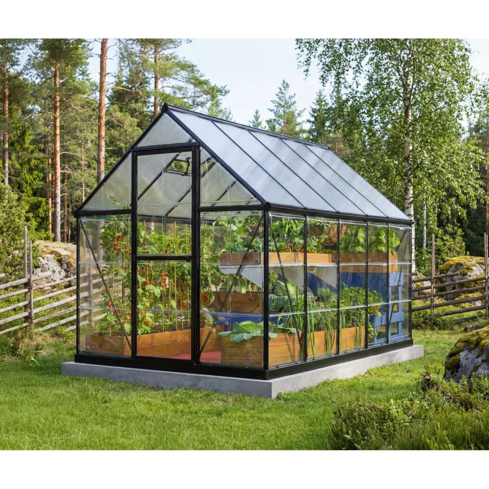 Sale Kasvihuone Hybrid 5,7 m² 6x10 ft musta Kasvihuoneet Kennolevyllä