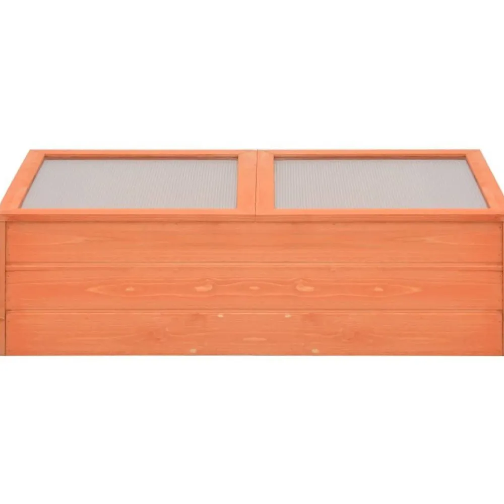 Kasvihuone, 100x50x34 cm*FinePRICE Sale