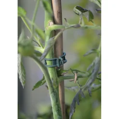 Kasvipidike Strong, 12kpl*Nelson Garden Clearance