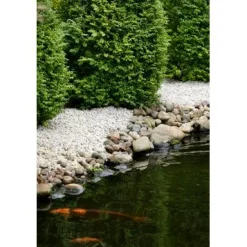 Hot Koristekivi Valkoinen Gabro 5-12 mm 42 säkkiä x 25 kg lava 1050 kg Koristekivet