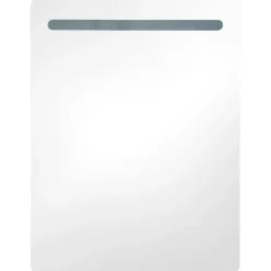 Kylpyhuoneen LED-peilikaappi, tammi, 60x11x80cm*FinePRICE Online