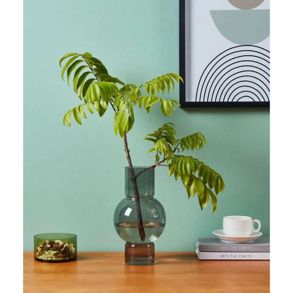 Lasimaljakko Ampitabe, 28 cm*Eglo Living Online