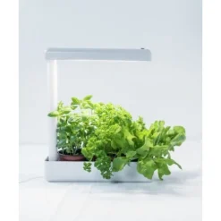 Best LED-kasvivalaisin Herby Plant 10W/840 650lm 4000K Kasvivalaisimet