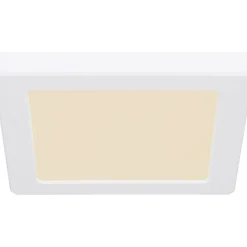 LED-kattovalaisin Lasse, 3000-6500K, neliö, eri kokoja ja värejä*Globo Best