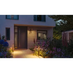 LED-pollarivalaisin Alara Smart Home Zigbee 3.0 665mm hämäräohjattu liiketunnistin IR 3000 - 2200K 10W 450lm antrasiitti*Paulmann