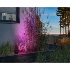 LED-puutarhaspotti Plug & Shine Kikolo, Smart Home Zigbee 3.0, IP65, RGBW+, antrasiitti*Paulmann Hot