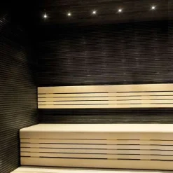 LED-saunavalaisin Highline Sauna+ 1x3W alumiini lisäosa settiin*Saas Instruments
