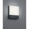 Best LED-seinävalaisin Pecos 200x160 mm antrasiitti Led-Ulkovalot