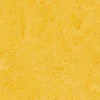 Discount Linoleumilaatta Marmoleum Click Lemon Zest 30x30 cm keltainen Linoleumi
