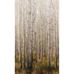 Maisematapetti One Roll One Motif Birch Tree, 1.59x2.80m, metsä, non-woven*Tapetit.fi