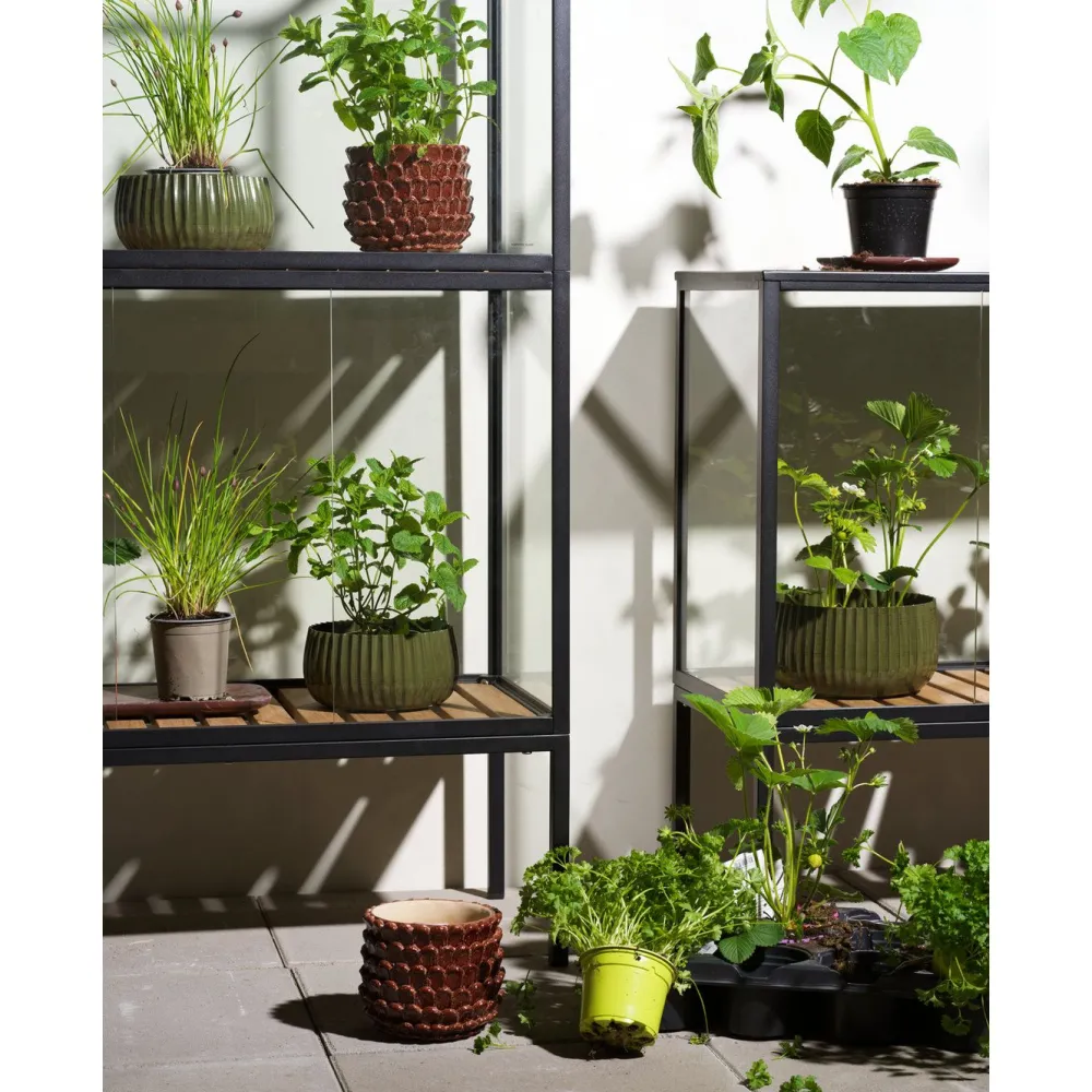 Minikasvihuone Grower Greens, 81x41x137cm*Brafab Sale