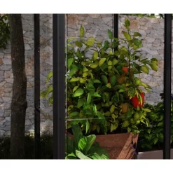 Minikasvihuone IVY, 0.8m², polykarbonaatti, musta*Palram-Canopia Hot