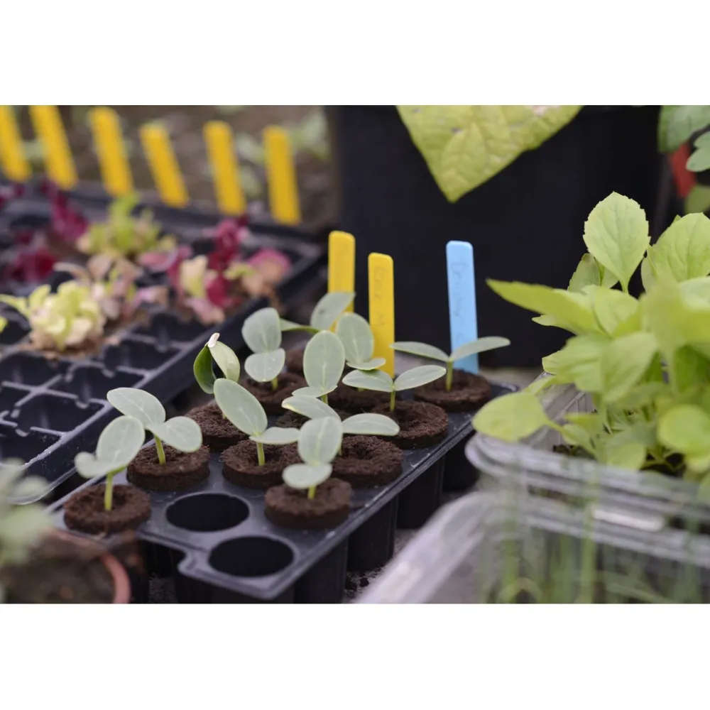 Nimikyltti kasveille , 40 kpl, muovi, keltainen*Nelson Garden Online