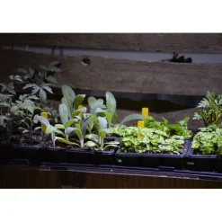 Nimikyltti kasveille , 40 kpl, muovi, keltainen*Nelson Garden Online