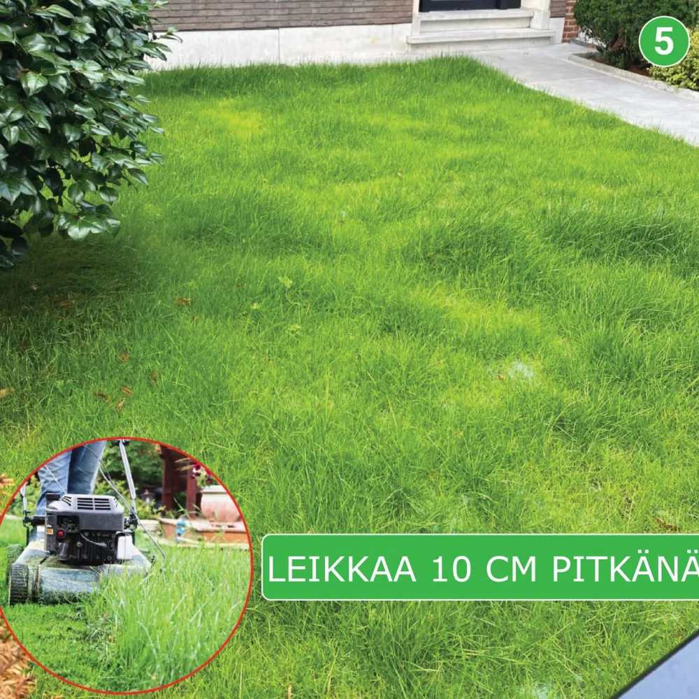 Nurmikon siemenmatto Slänt, 40 m²*Turfquick