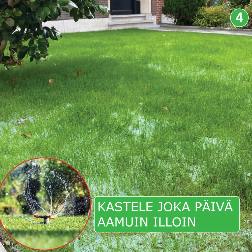 Nurmikon siemenmatto Slänt, 40 m²*Turfquick