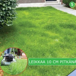 Online Nurmikon siemenmatto Reparera, 5 m² Nurmi Ja Kuntta