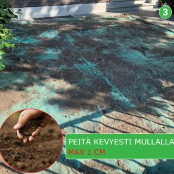 Clearance Nurmikon siemenmatto Extra Grön, 40 m² Nurmi Ja Kuntta