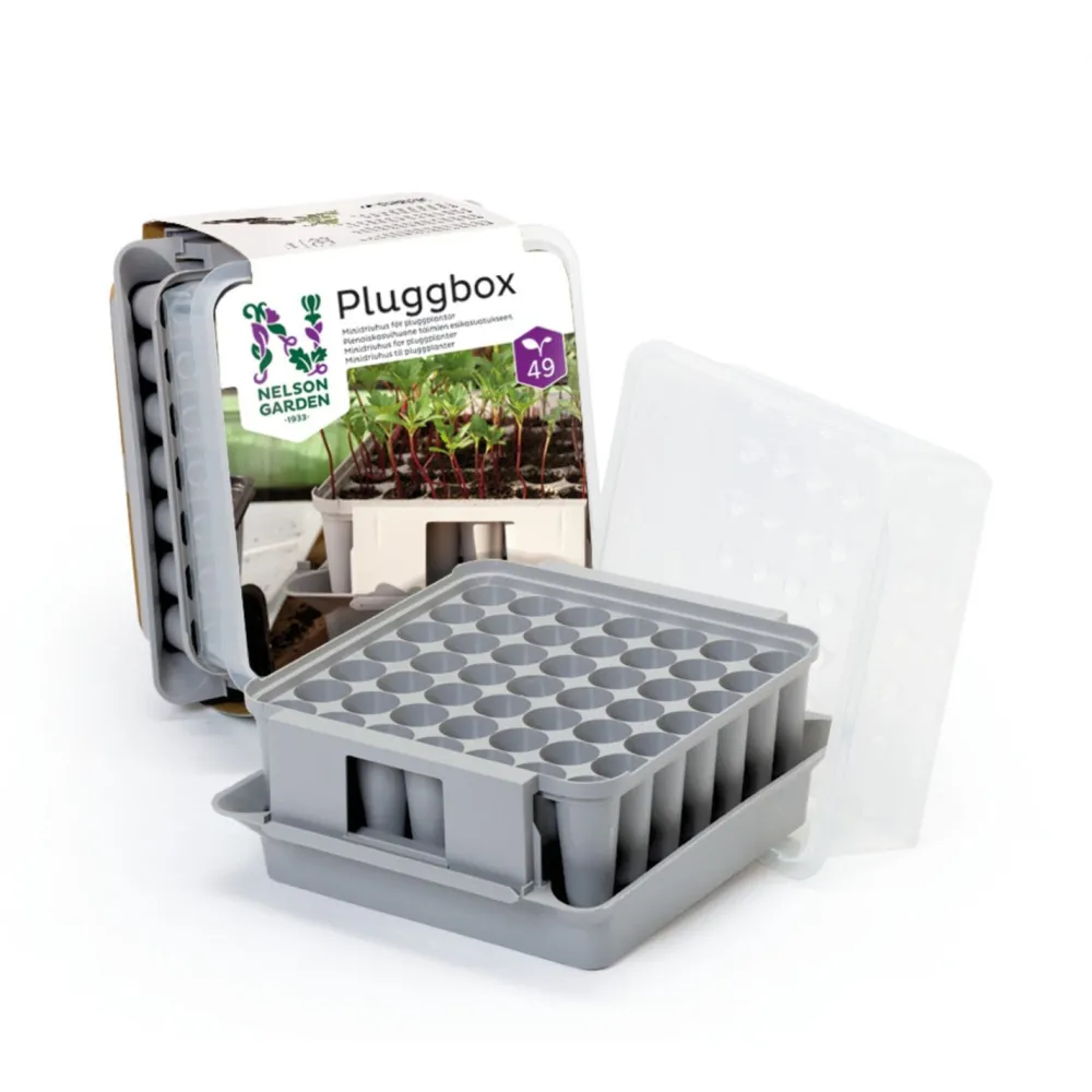 New Pienoiskasvihuone Pluggbox, 220x200 mm Minikasvihuoneet