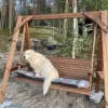 Pihakeinu Salla Lux N130R ruskea*Tammiston puu Best