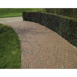 Pihatiili Penter DF 200x64x80mm Padova*Wienerberger Best