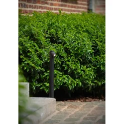 Pollarivalaisin Ibamba, 8.3x8cm, IP65, 6W, musta*Lucide Discount