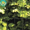Puutarha-aita 5x10cm 1x25m 0% PVC musta*Hortus New