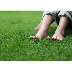 Puutarhamulta 80 säkkiä x 40 litraa/lava 3200 litraa*GreenCare