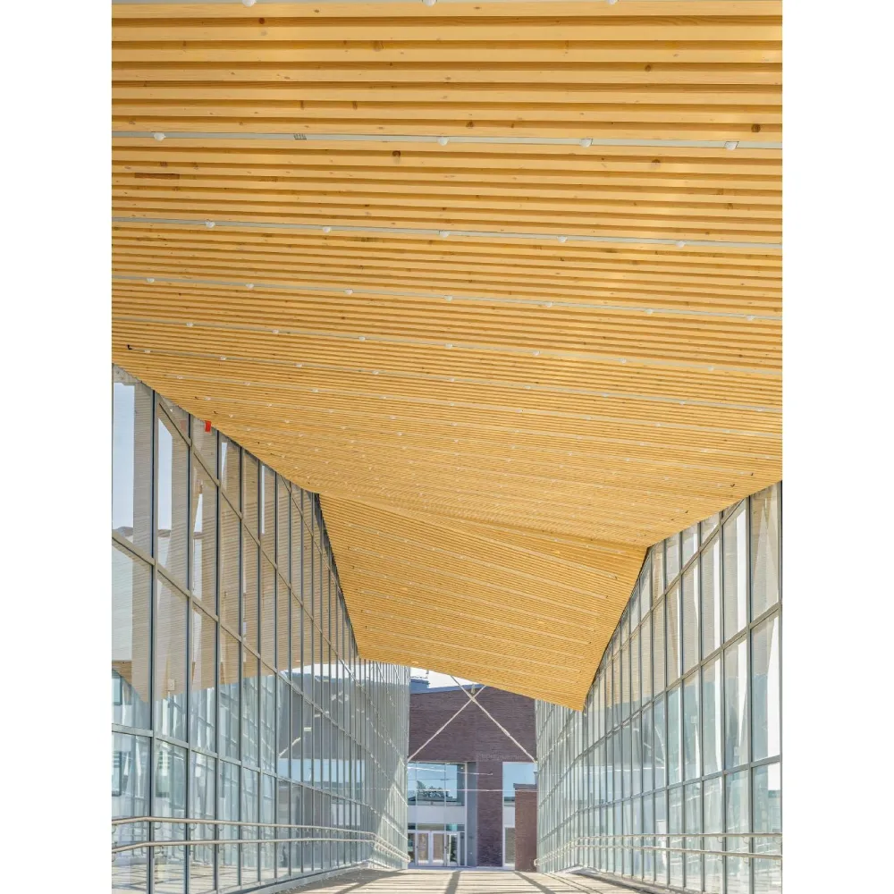 Hot Rima Tuuli Sauna SHP, 45x45mm, TK kuusi, puuvalmis Laudepuut