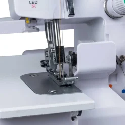 Saumuri Standard*Birgitta Best