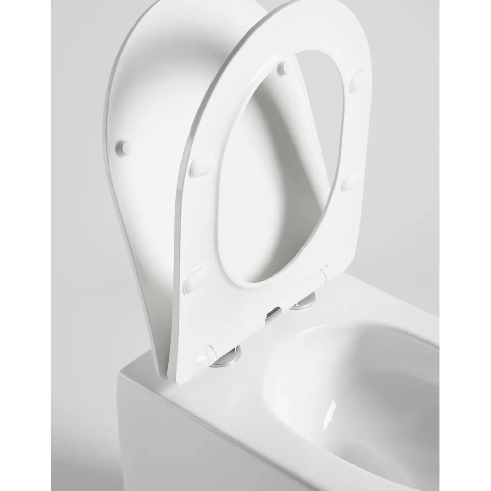 Seinä-WC-istuin Pacho Rimless, soft-close -kannella, eri värejä*Interia Clearance