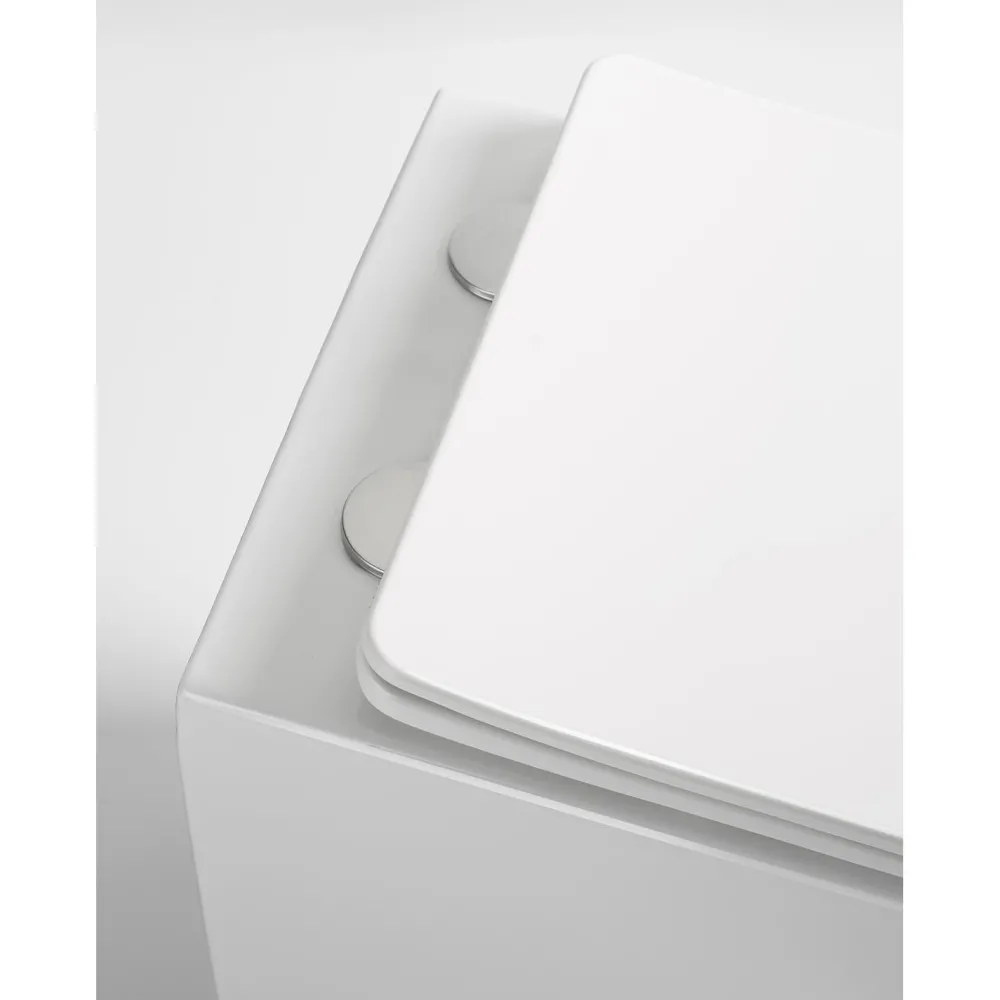 Seinä-WC-istuin Pacho Rimless, soft-close -kannella, eri värejä*Interia Clearance