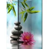 Sermi Water Lily and Zen Stones 135x172cm*Artgeist Clearance