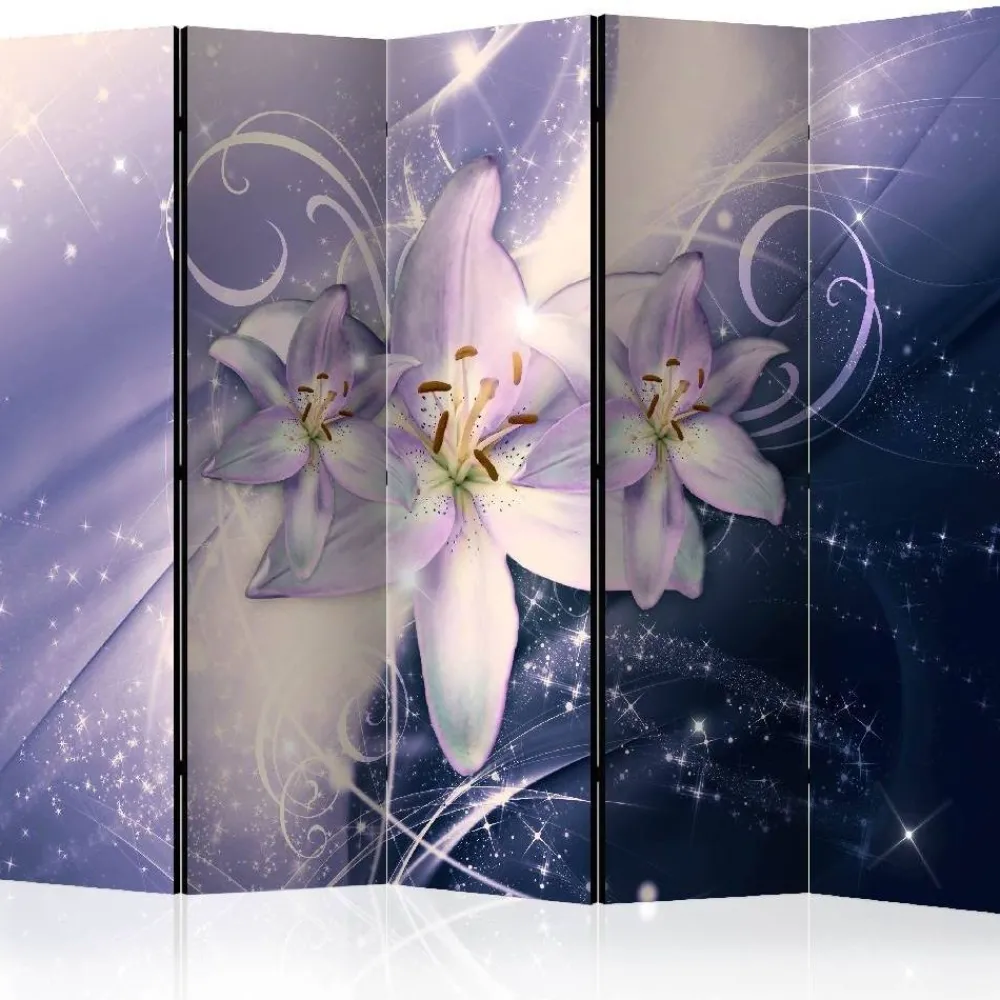 Online Sermi Wintry Galaxy II 225x172cm Sermit