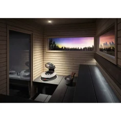 Sähkökiuas Aina Valmis Forte AFB6 6 kW 7-12 m³ erillinen ohjaus teräs*Harvia Sale